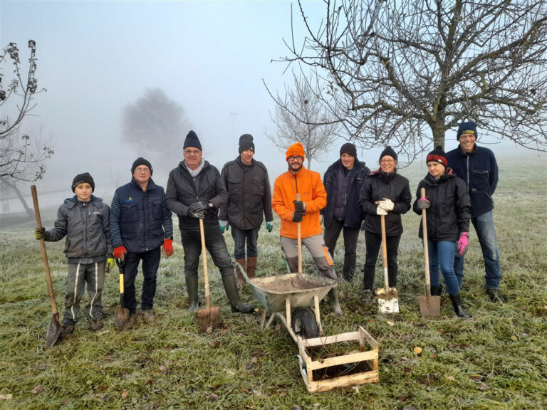 Plantation d'une haie vive