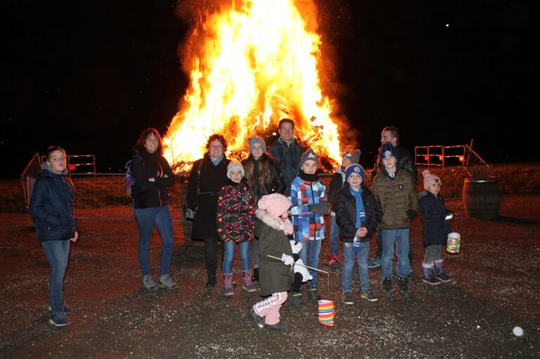 Crémation des sapins