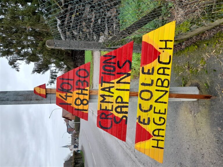 Crémation des sapins