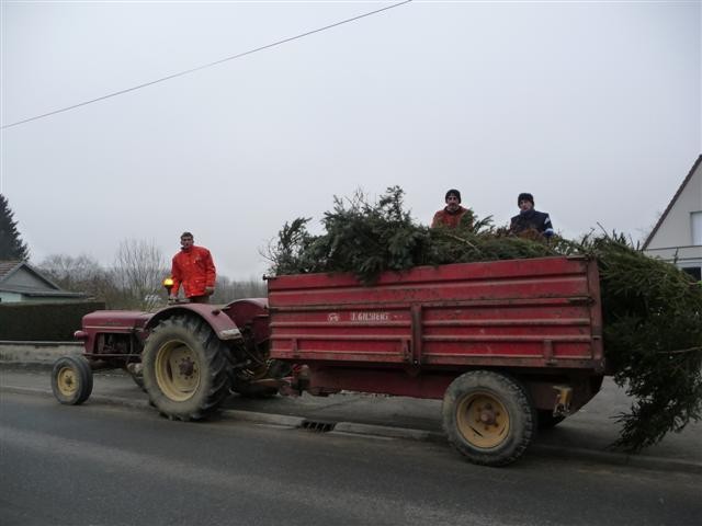 Crémation des sapins