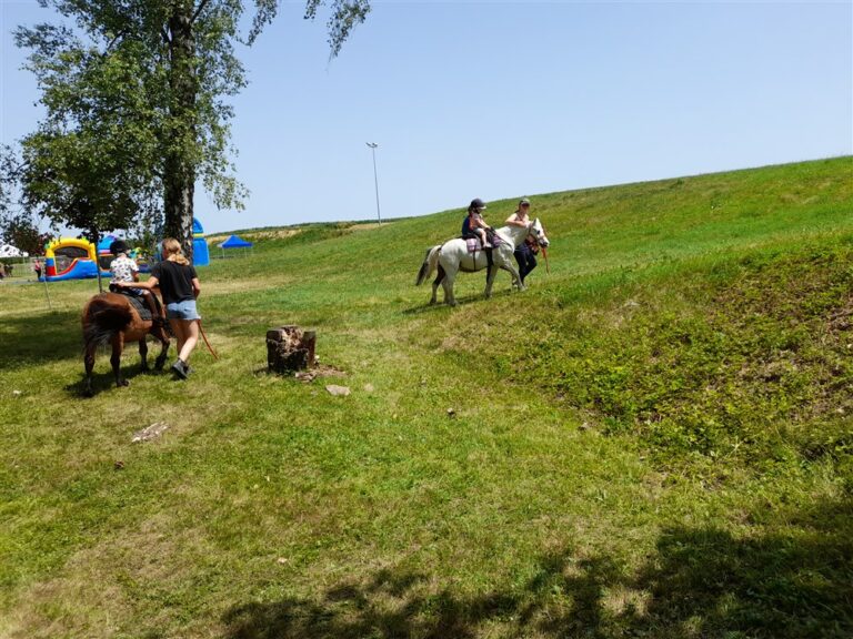 Kermesse des Petits Courlis